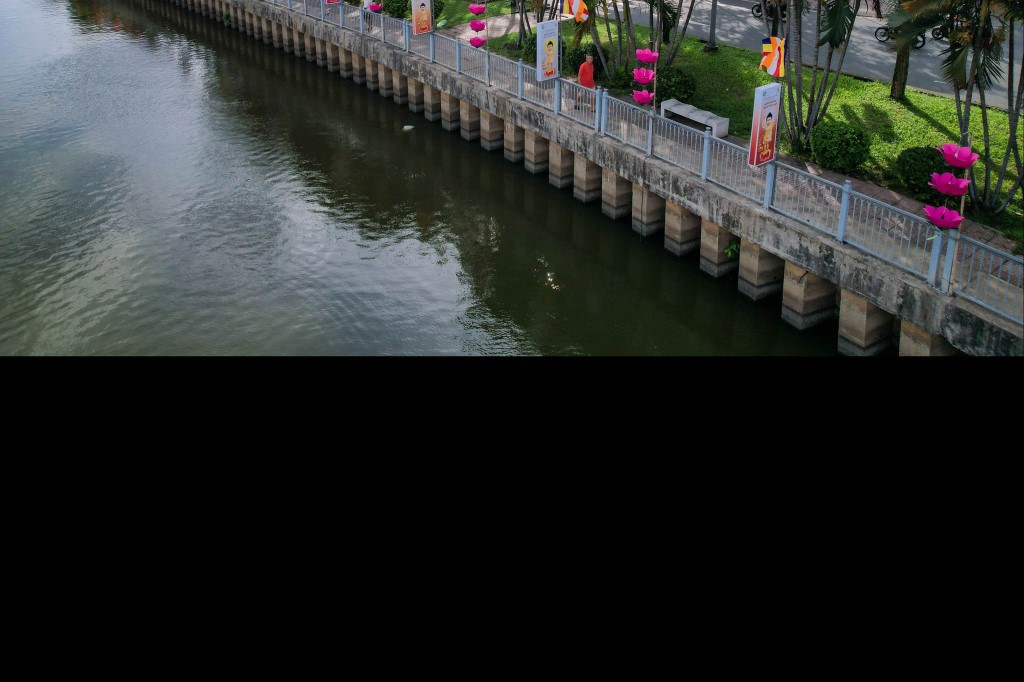 7-doa-sen-khong-lo-bung-sang-tren-kenh-nhieu-loc_phat dan11.jpg
